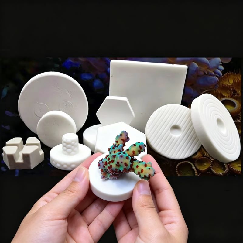 Coral Frag Plug - Base per fragole di corallo in