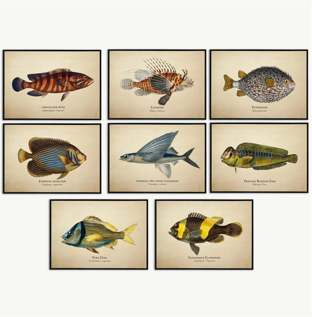 Quadri Vintage con Pesci Tropi - Marine Aquarium Home recensione e prezzo