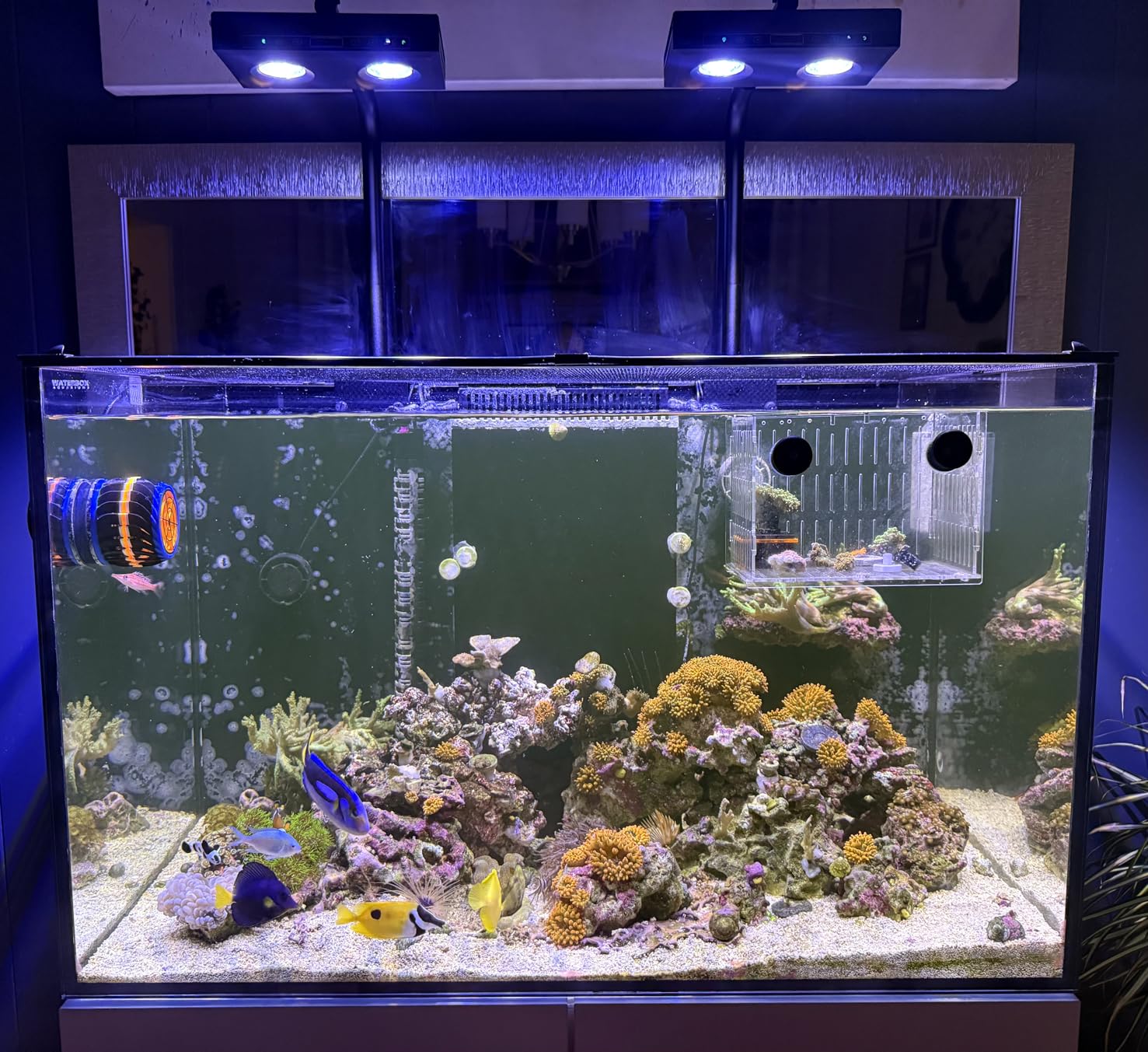 Lampada LED per Acquario ad Al - Aqua Marine Tank recensione e prezzo