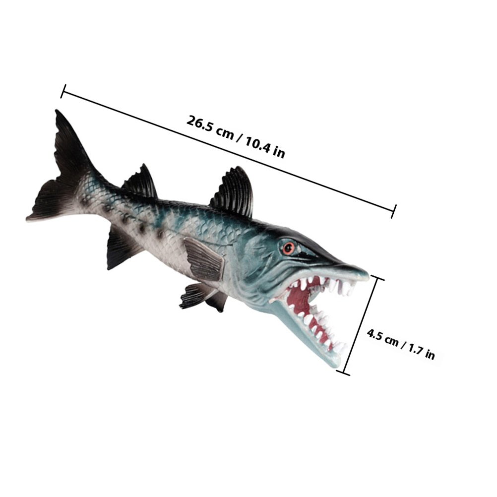 Decorazione Realistica Premium - Marine Aquarium Home recensione e prezzo