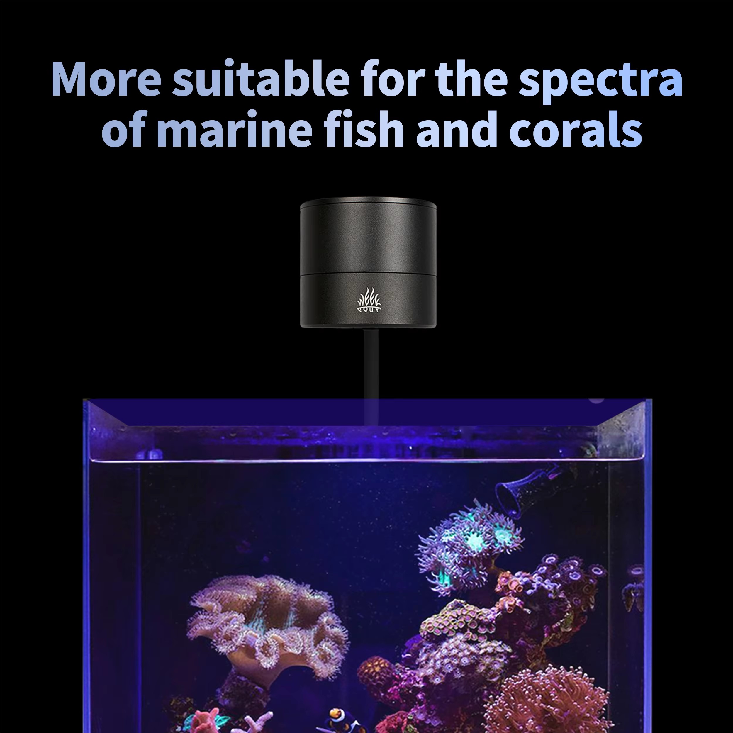 Lampada LED WEEK AQUA per Acqu - Aqua Marine Tank recensione e prezzo