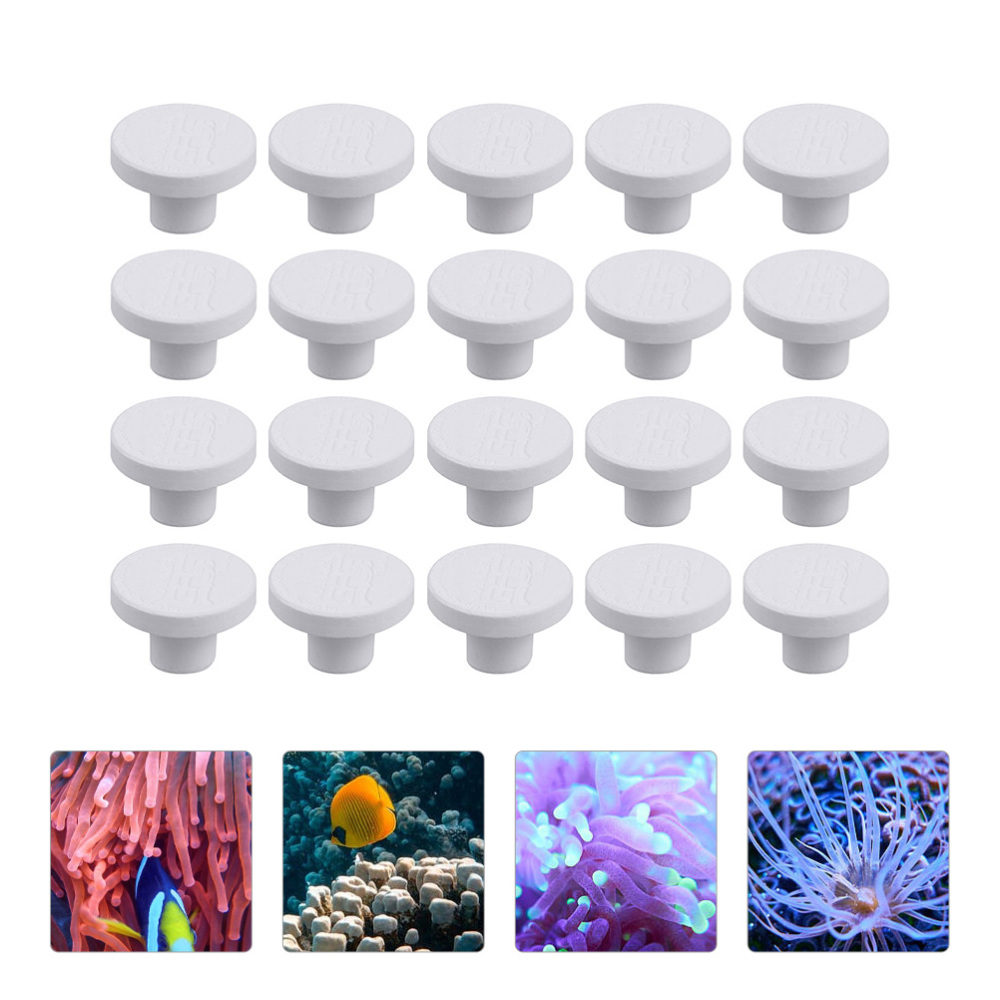 Base per fragole di corallo in - Coral Frag Plug recensione e prezzo