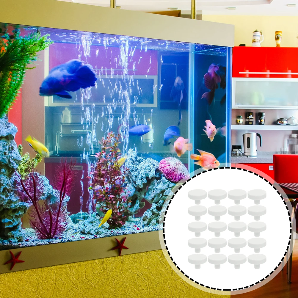 20 Pz Colla Corallo Reef Sicur - Coral Frag Plug recensione e prezzo