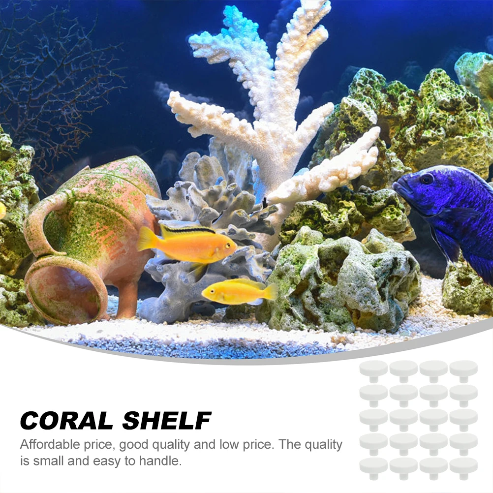20 Pz Colla Corallo Reef Sicur - Coral Frag Plug recensione e prezzo