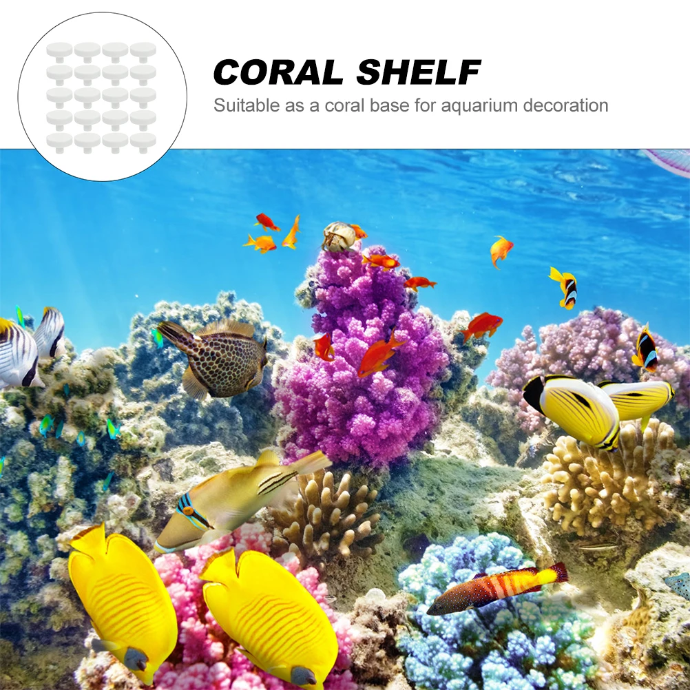 20 Pz Colla Corallo Reef Sicur - Coral Frag Plug recensione e prezzo