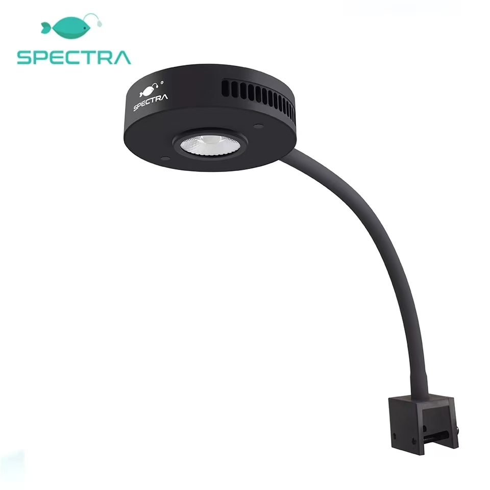 Spectra Aqua Knight V2 36W Spe - Aqua Marine Tank recensione e prezzo