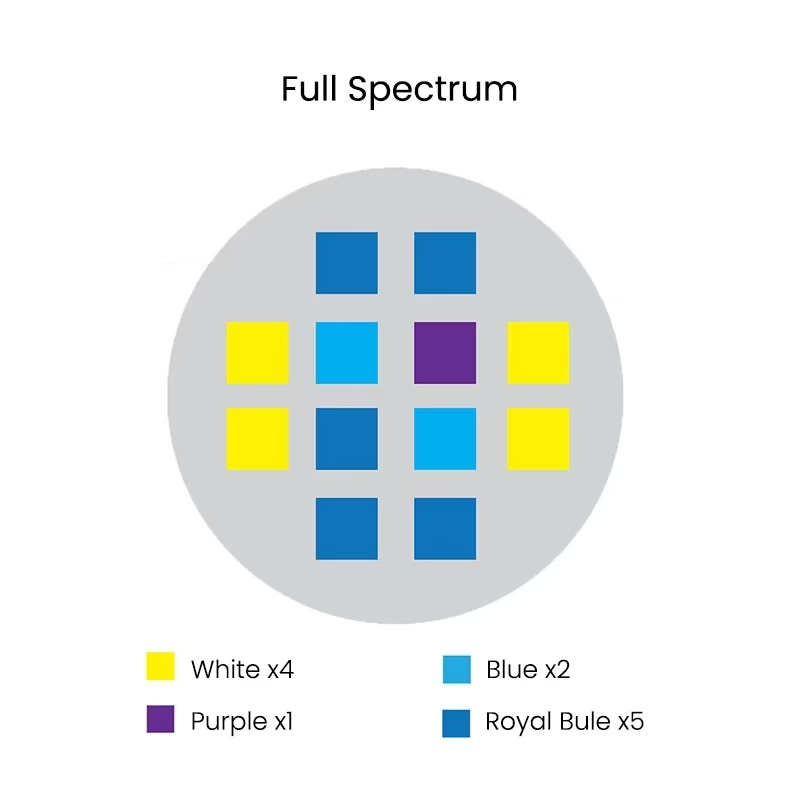 Spectra Aqua Knight V2 36W Spe - Aqua Marine Tank recensione e prezzo