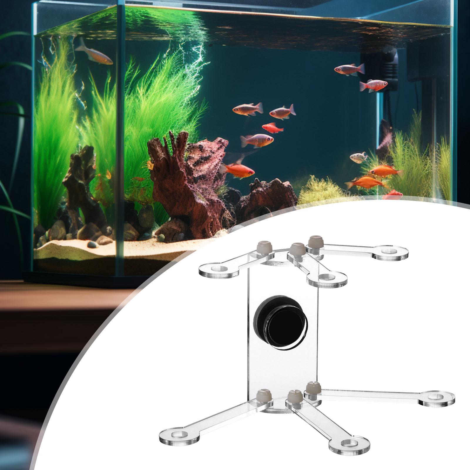Supporto per Coralli da Acquar - Coral Frag Plug recensione e prezzo