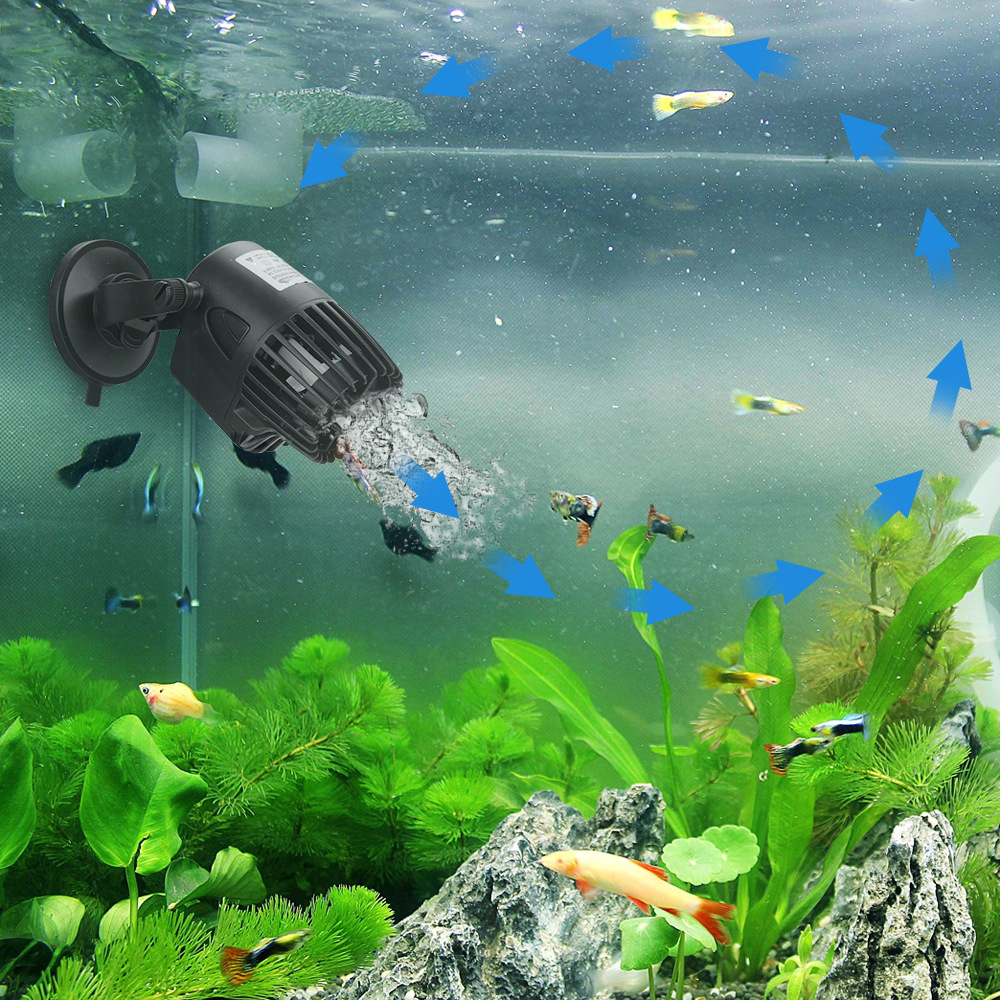Acquario serbatoio di pesce Wa - Coral Frag Plug recensione e prezzo
