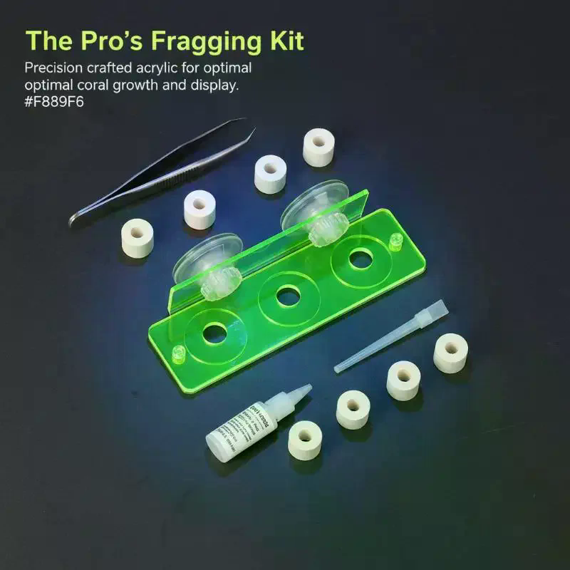 Supporto per Coralli Marini in - Coral Frag Plug recensione e prezzo