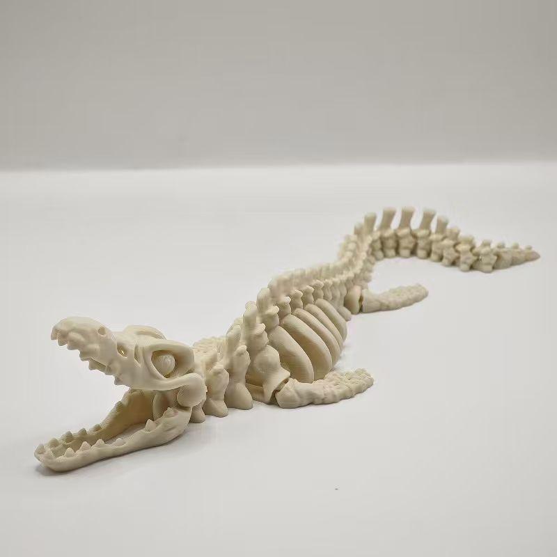 Nuovo Modello di Scheletro di  - Marine Aquarium Home recensione e prezzo