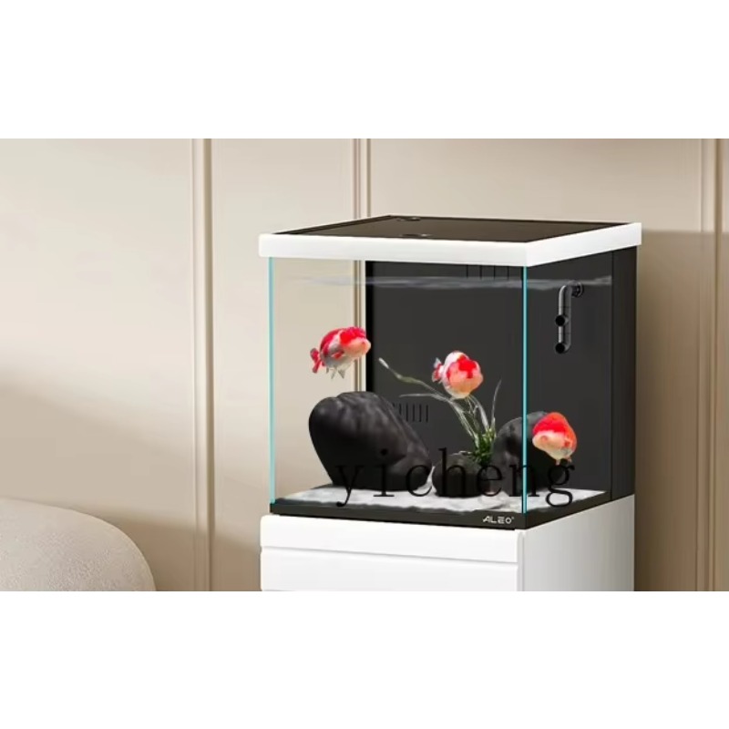 FY1 Soggiorno Piccolo filtro i - Marine Aquarium Home recensione e prezzo